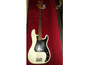 Fender Precision Bass (1973) (95341)