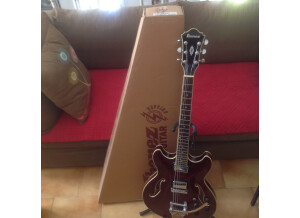 Ibanez AS73T