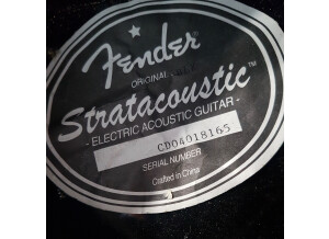 Fender Stratacoustic [2000-2005] (6859)