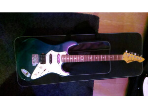 Fender Mike Dirnt Precision Bass (28729)