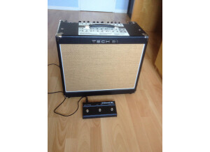 Tech 21 Trademark 60 1x12 (4028)