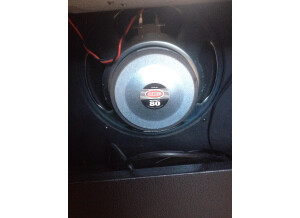 Tech 21 Trademark 60 1x12 (52390)