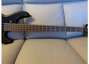 Sandberg (Bass) Panther 4