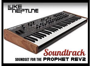 Dave Smith Instruments Prophet Rev2 Module 8 voix (79478)
