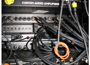 Custom Audio Electronics 3 + SE (4254)