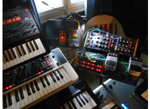 Behringer Model D (7131)