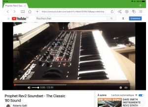 Dave Smith Instruments Prophet Rev2 Module 8 voix (87922)
