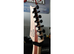 Ibanez RGDIX7MPB (59156)