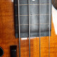 Zenith Fretless Zenith Fretless