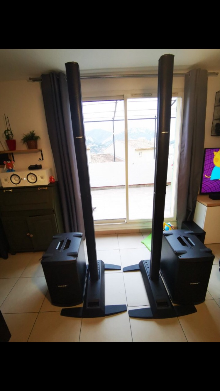 Bose L1 Model II with B2 Bass