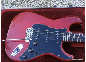 Fender 25th anniversary American Stratocaster (1979) (54186)