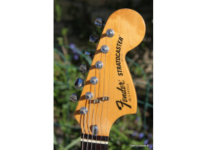 Fender 25th anniversary American Stratocaster (1979) (40356)