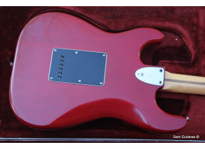 Fender 25th anniversary American Stratocaster (1979) (6110)