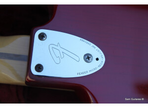 Fender 25th anniversary American Stratocaster (1979) (33601)