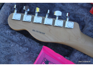 Fender American Professional Telecaster Deluxe Shawbucker (40199)