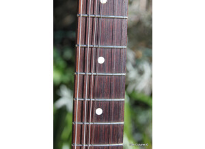 Fender American Professional Telecaster Deluxe Shawbucker (17276)