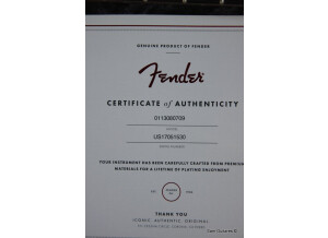 Fender American Professional Telecaster Deluxe Shawbucker (98922)