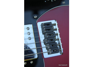 Fender American Professional Telecaster Deluxe Shawbucker (84998)