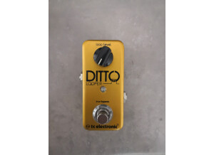 TC Electronic Ditto Looper Gold (96526)