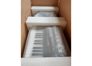 Roland SH-201 (48913)