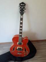 Ibanez AF75D