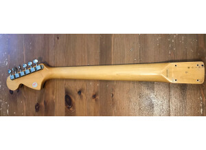 Fender MG69-65 (33968)