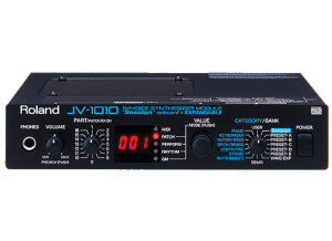 Roland JV-1010 (52022)