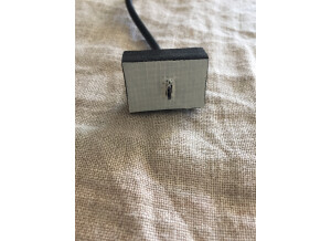 Line 6 Relay G10 (27299)