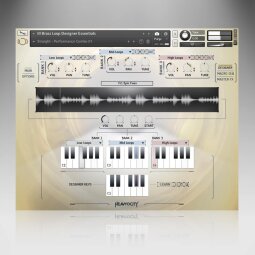 FORZO-Ess_Interface_Loops FORZO-Ess_Interface_Loops