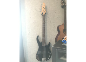 Peavey Fury II (16552)