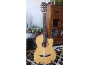Yamaha NCX900FM (73198)
