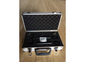 sE Electronics sE8 (99641)