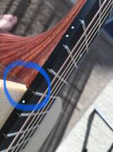 Martin & Co DX1RAE