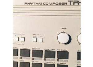 Roland TR-505 (2439)