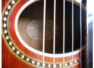 Gibson L-4