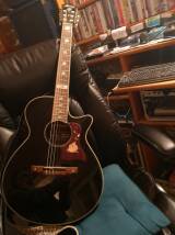 Ibanez AEG10II