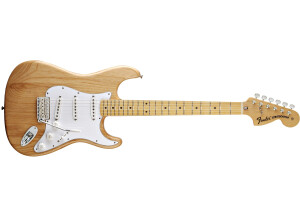 Fender Classic '70s Stratocaster (21713)