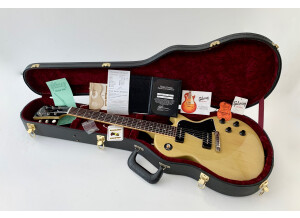 Gibson 1960 Les Paul Special Single Cut (6166)
