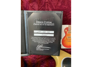 Gibson 1960 Les Paul Special Single Cut (70913)