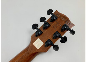 Gibson Les Paul Junior Single Cut (82662)