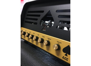 Ace Amplification Colt (41047)