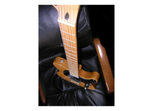 Fender Special Edition Lite Ash Telecaster (55333)