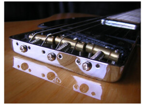 Fender Special Edition Lite Ash Telecaster (25948)