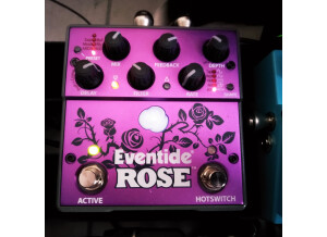 Eventide Rose (97843)