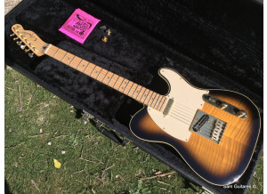 Fender Richie Kotzen Telecaster [2013-Current] (43499)