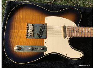 Fender Richie Kotzen Telecaster [2013-Current] (94882)