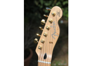 Fender Richie Kotzen Telecaster [2013-Current] (33410)