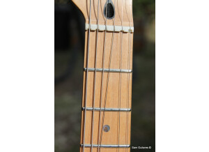 Fender Richie Kotzen Telecaster [2013-Current] (48650)