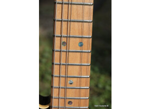 Fender Richie Kotzen Telecaster [2013-Current] (44585)