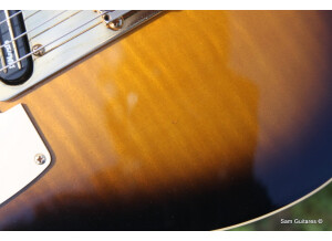 Fender Richie Kotzen Telecaster [2013-Current] (71818)